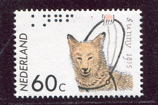 Нидерланды. Собака - поводырь