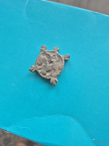 Черепашка с колиты лютый зверь