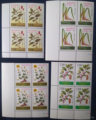 Беларусь 1996 кв. блоки, лекарственные растения
