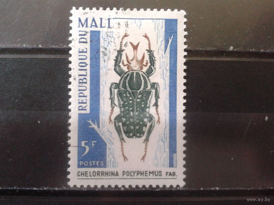 Мали 1967 Жук