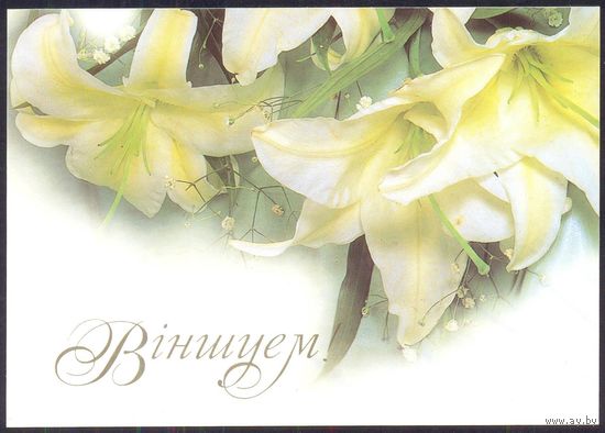 2000 ДМПК Беларусь Поздравляем