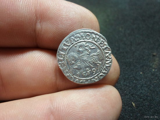 Полугрош 1559 г. ВКЛ Сигизмунд Август LITVA (2) блеск