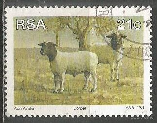 ЮАР. Овцы. 1991г. Mi#815.