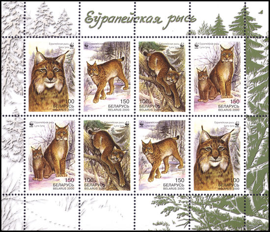 2000 БЕЛАРУСЬ малый лист коллекционных марок Европейская рысь  MNH