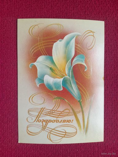 Поздравляю! Воронин 1984 г. Чистая.