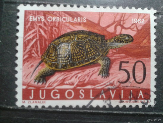 Югославия, 1962. Европейская прудовая черепаха