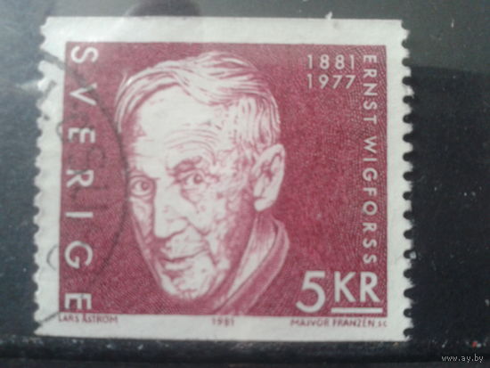 Швеция 1981 Политик