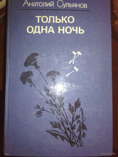 Только одна ночь,А.Сульянов
