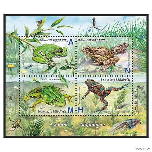 2015 БЕЛАРУСЬ Малый лист "Амфибии" MNH