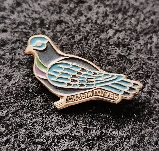 Сизый голубь. (Е-3)