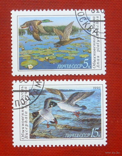 СССР. Утки. ( 2 марки ) 1990 года. 2-12.