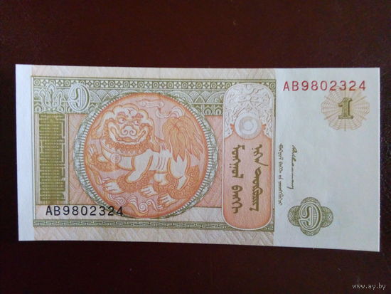 Монголия 1 тугрик 1993г.