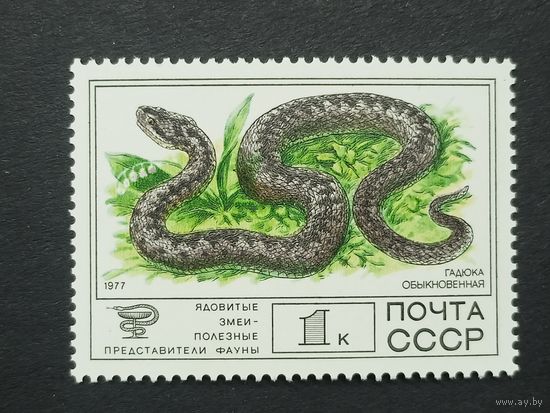 1977 СССР. Фауна. Гадюка обыкновенная