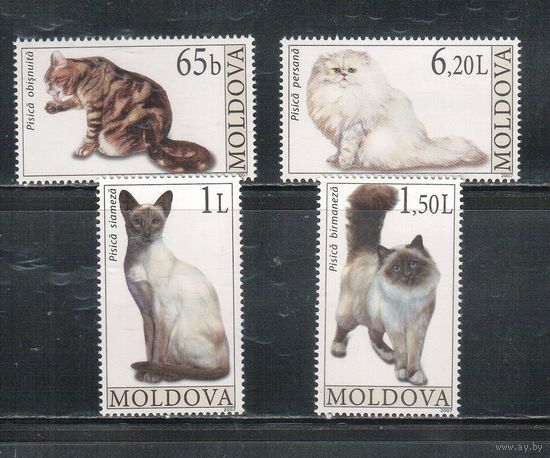 Молдова(Молдавия)-2007 (Мих.586-589) ** , Фауна, Кошки