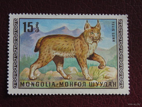 Монголия. Фауна.
