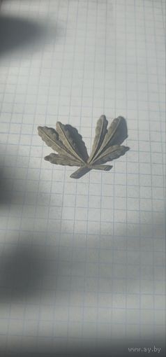 Ученическая кокарда