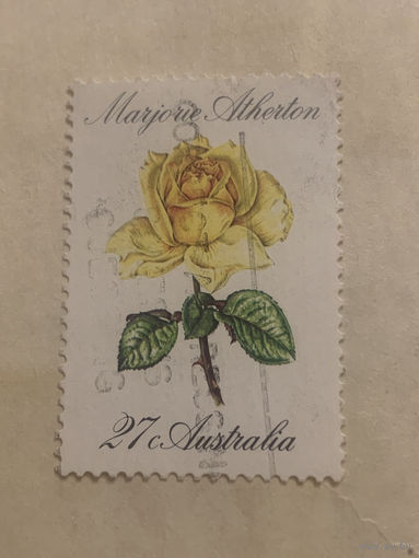Австралия. Флора. Роза