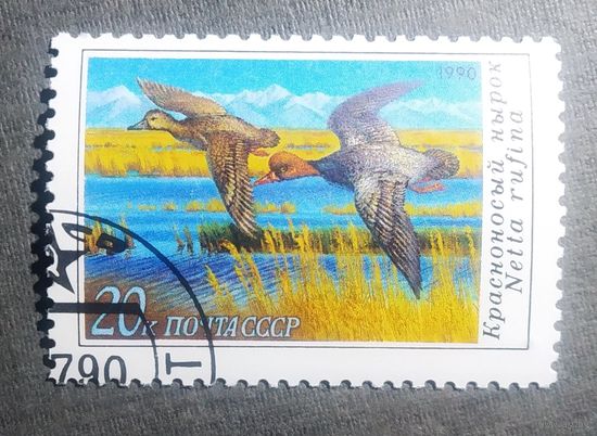 Марка СССР 1990 год Утки