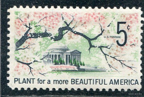 США. Цветущая Америка