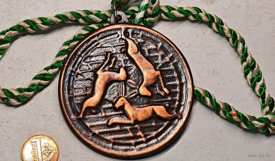 Спортивная  медаль