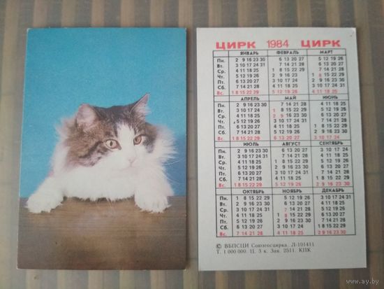 Карманный календарик.1984 год. Цирк.  Котик