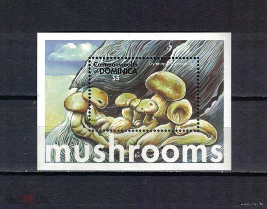 Доминика 2001, Грибы, ФЛОРА, блок, MNH