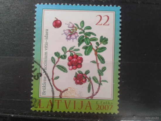 Латвия, 2007. Брусника