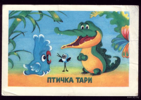 Птичка Тари