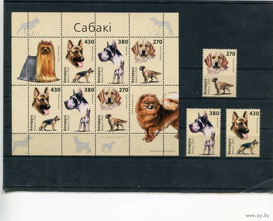 Беларусь 2003. Фауна. Собаки