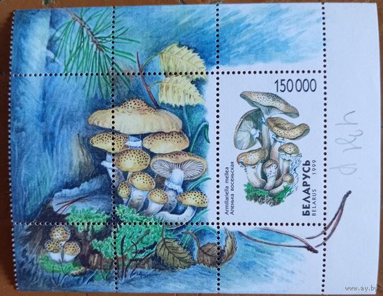 Беларусь 1999. Грибы. Блок