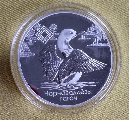 Заказник, Ельня, 2021г.