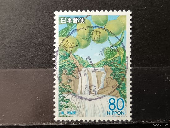 Япония, 2006. Водопад Фукурода, японская слива