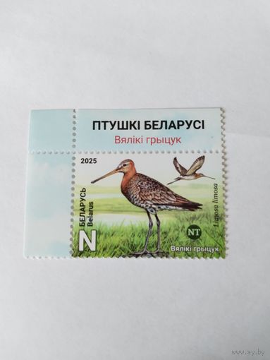 Беларусь  2025  птица года