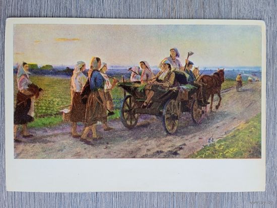 Соцреализм. Волкова. С поля