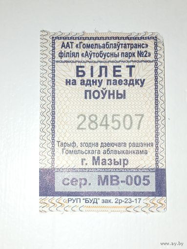 Билет на одну поездку. г. Мозырь