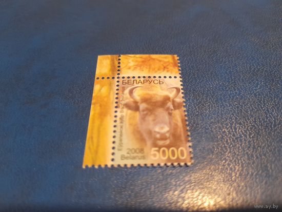 Беларусь 2008 угол зубр