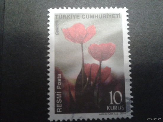 Турция 2010 цветы