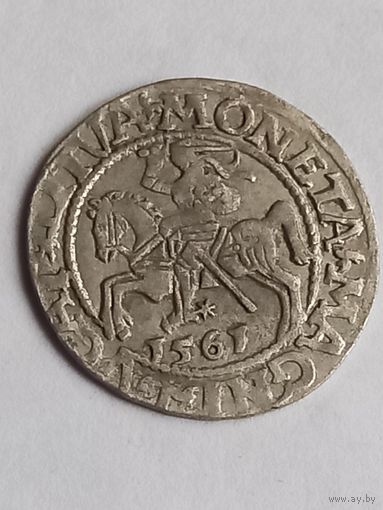 Полугрош 1561 г., с 1 рубля, без мц