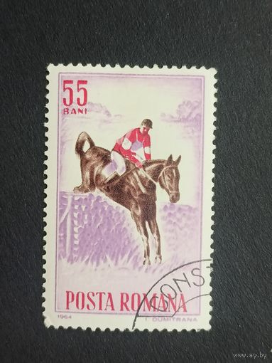 Румыния 1964. Верховая езда