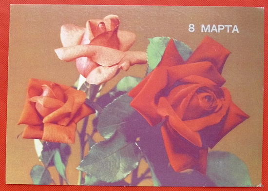 8 Марта. Подписанная. 1989 года. Круцко.
