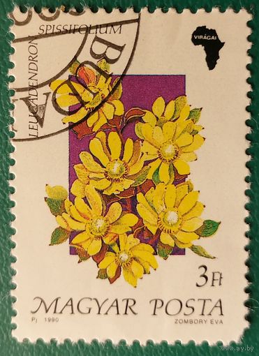 Флора Цветы 4 1990