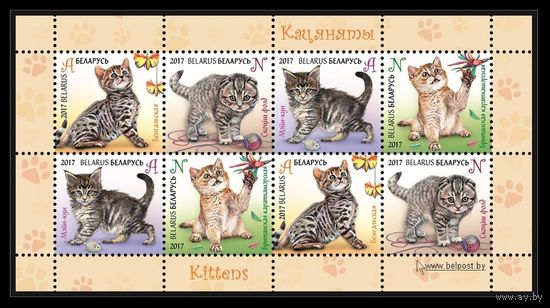 2017 Беларусь 1169-1172 Фауна. Котята (МЛ) **