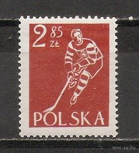 ФФ1 Польша 1953 Спорт