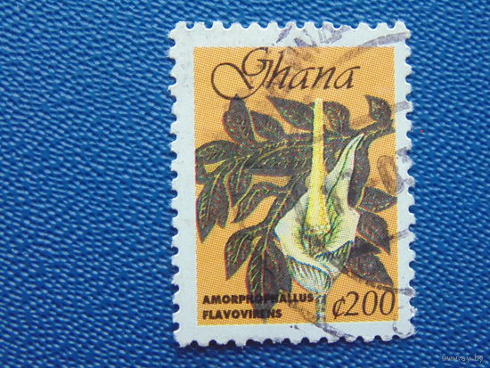 Гана.  Флора.