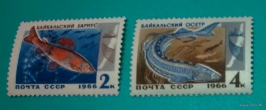 Марка СССР 1966 год. 3399 3400. Промысловые рыбы Байкала  2 марки из серии