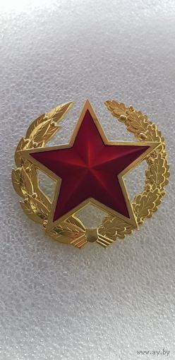 Вооруженные силы Беларусь*