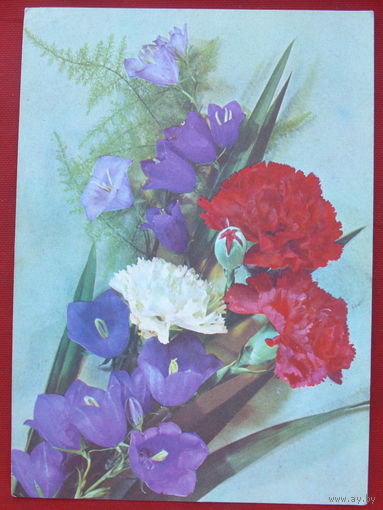Цветы. Чистая. 1975 года. Дергилев. *300.