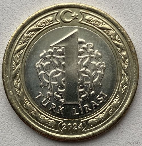 Турция 1 лира 2024 г.