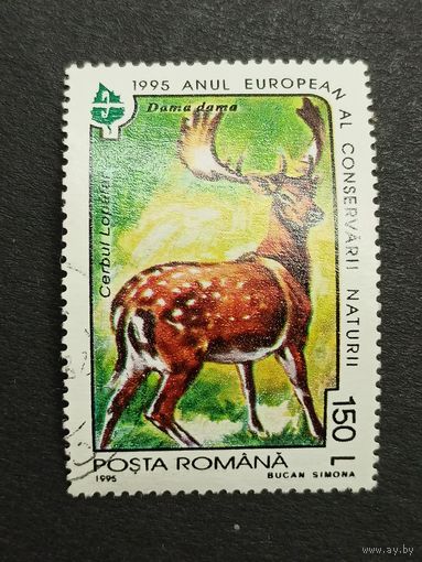 Румыния 1995. Европейский год охраны природы