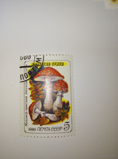 Марки СССР 1986 г. Ядовитые грибы Мухомор красный 5к.